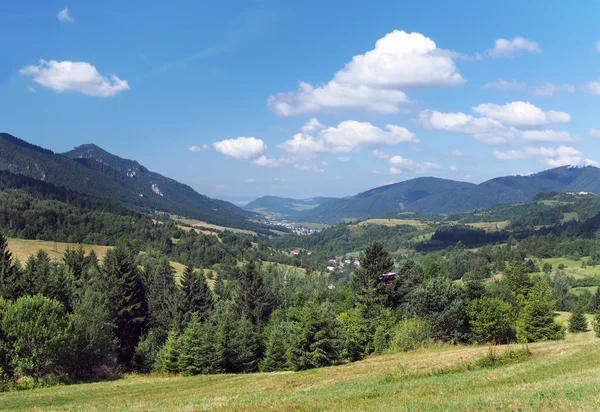 Vale em Mala Fatra com aldeia de Terchova — Fotografia de Stock