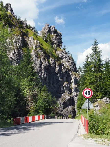 Road with bridge to Vratna Valley, Slovakia — Stock Photo, Image