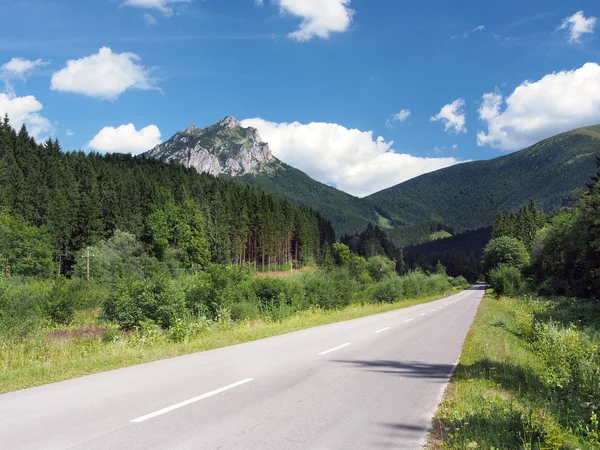 Road to Velky Rozsutec in summer — Stock Photo, Image