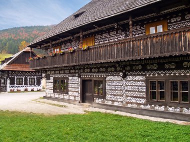benzersiz halk evleri cicmany, Slovakya
