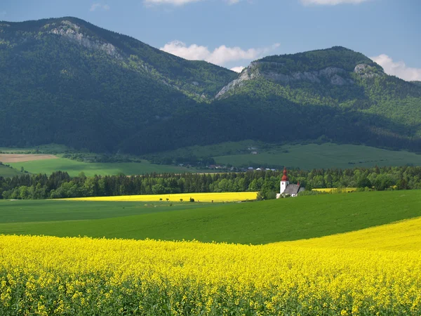 Mezők és a Szent László-templom — Stock Fotó