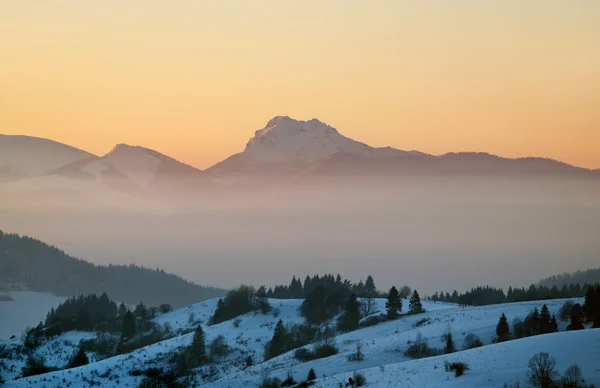 Samtig rozsutec bei Sonnenuntergang im Winter — Stockfoto