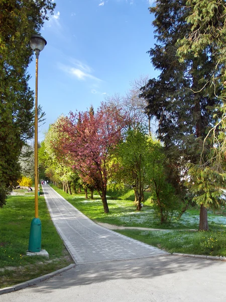 Borik park in zilina, Slowakije — Stockfoto