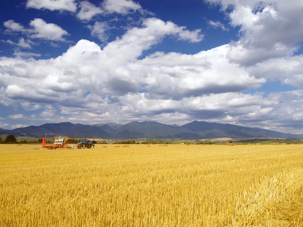 Raccolta del grano in Slovacchia — Foto Stock