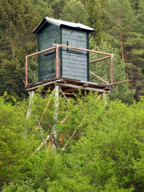 Watch tower derin orman