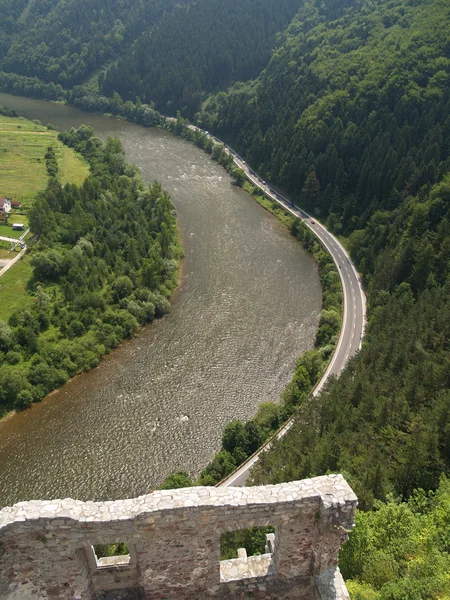 Пташиного польоту від замку Strecno — стокове фото