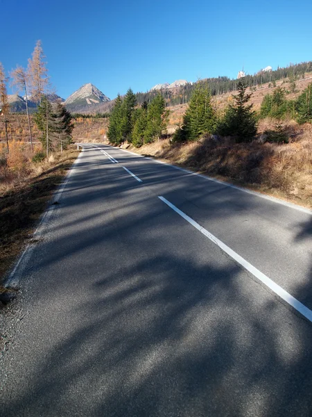 Estrada na floresta que conduz a Tatras Altos — Fotografia de Stock