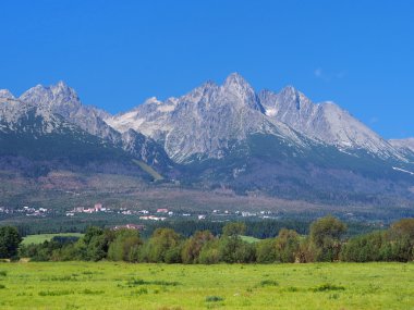 zirveleri yüksek tatras ve çayır