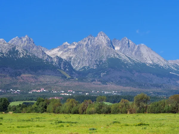 Gipfel der hohen Tatra und Wiese Stockbild
