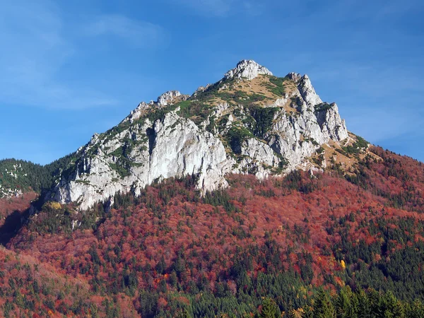 在秋季，斯洛伐克您 rozsutec 高峰 — 图库照片