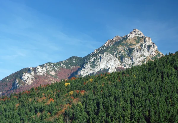 Veľký rozsutec, rezerwat przyrody, Słowacja — Zdjęcie stockowe