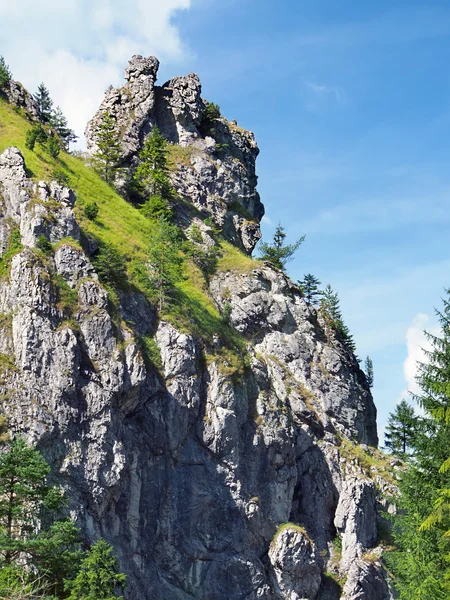 Μοναδικό βράχων στην κοιλάδα vratna, Σλοβακία — Φωτογραφία Αρχείου
