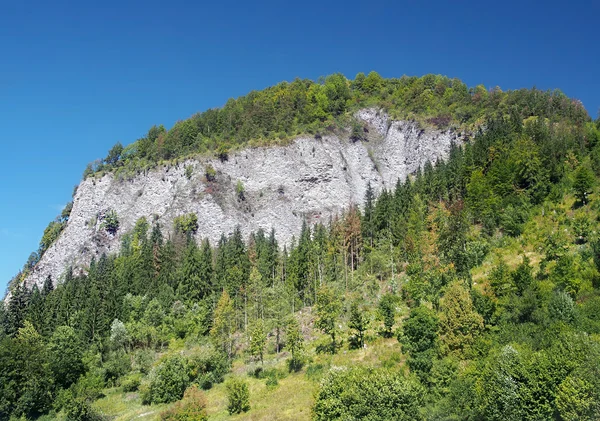 Bielska skala, National Nature Reserve — Stock Photo, Image