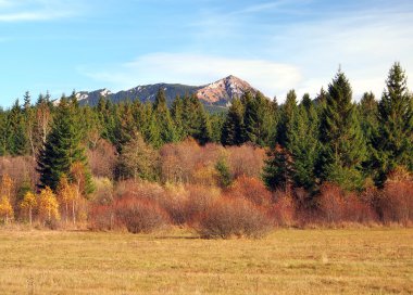 sonbahar rohace Hills, Slovakya