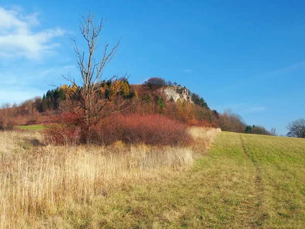 Hösten på vysnokubinske skalky, Slovakien — Stockfoto