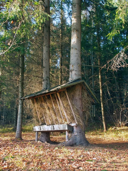 Dierlijke feeder in Slowaakse bos — Stockfoto