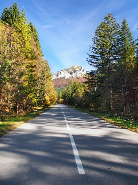 Estrada para Velky Rozsutec, Eslováquia — Fotografia de Stock