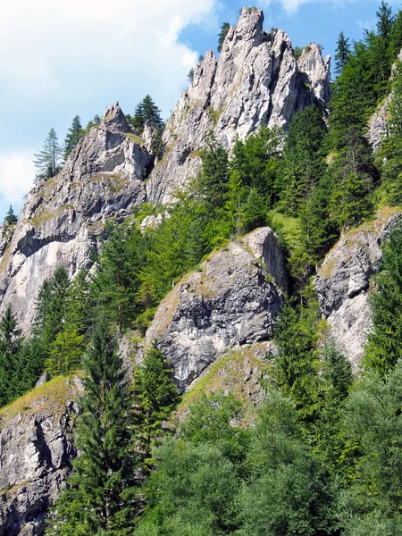 Μονοκόμματων βράχων στην κοιλάδα vratna, Σλοβακία — Φωτογραφία Αρχείου