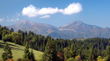 Orman ve Mala Fatra yukarıda Jasenova Köyü