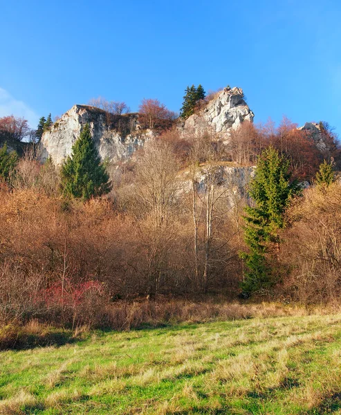 Herfst rotsen bij tupa skala, Slowakije — Stockfoto