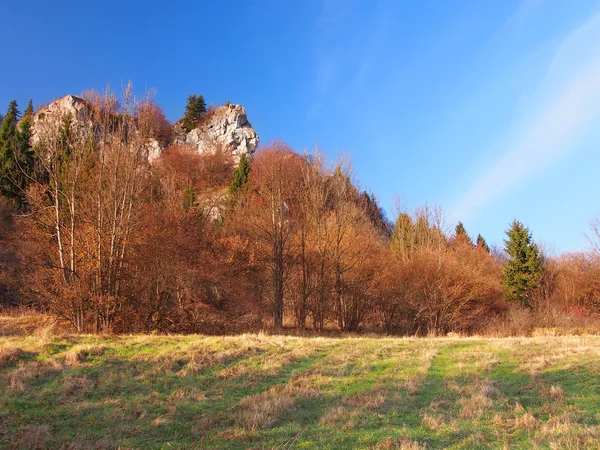 Roca en Tupa Skala, Vysnokubinske Skalky — Foto de Stock