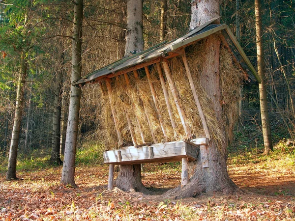 Alimentatore preparato per gli animali nella foresta slovacca — Foto Stock