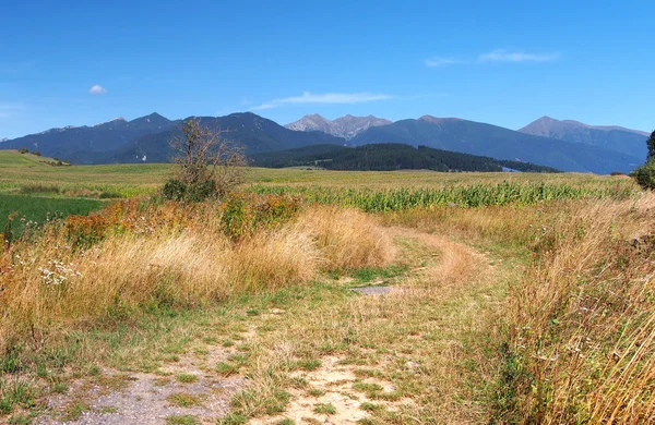 Горы Рогаче и полевая дорога — стоковое фото
