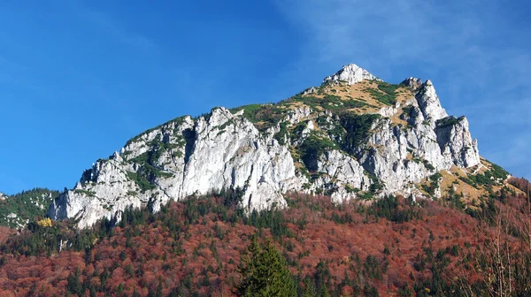 Φθινοπωρινή άποψη του velky rozsutec, Σλοβακία — Φωτογραφία Αρχείου