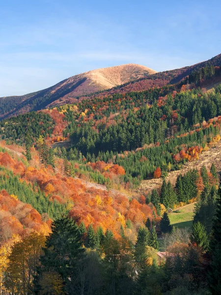 Národním parku malá fatra na podzim — Stock fotografie