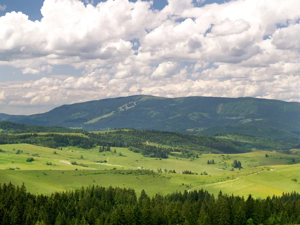 Forest and Kubinska Hola, Slovakia — Stock Photo, Image