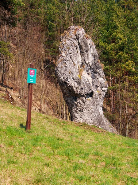 Кулак janosik, природним пам'ятником, Словаччина — стокове фото