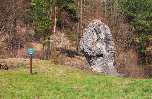 Кулак janosik, природним пам'ятником, Словаччина — стокове фото