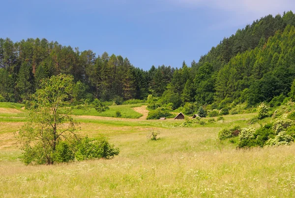 考古所在地的 havranok 山，斯洛伐克 — 图库照片