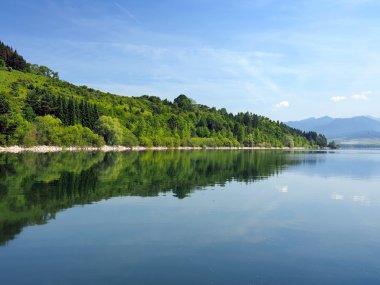 ormanlar yansıyan liptovska mara, Slovakya