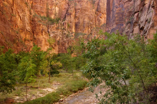 Sheer cliffs confine the Virgin River