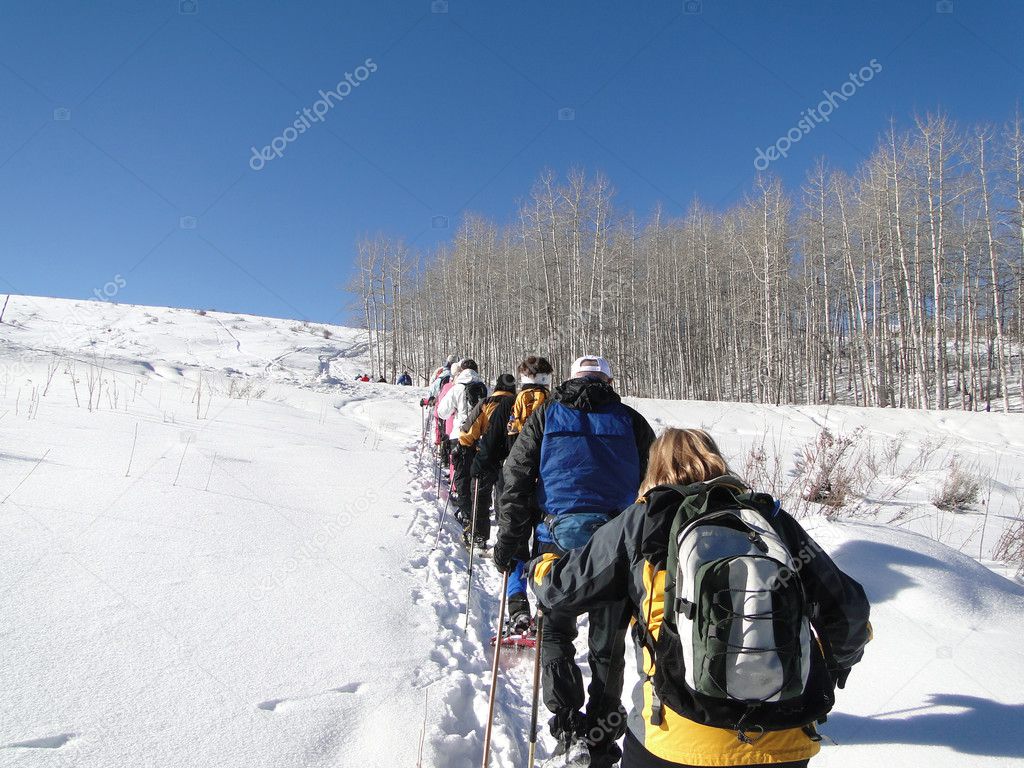 Large group of snowshoe hikers Stock Photo by ©cascoly 37980987