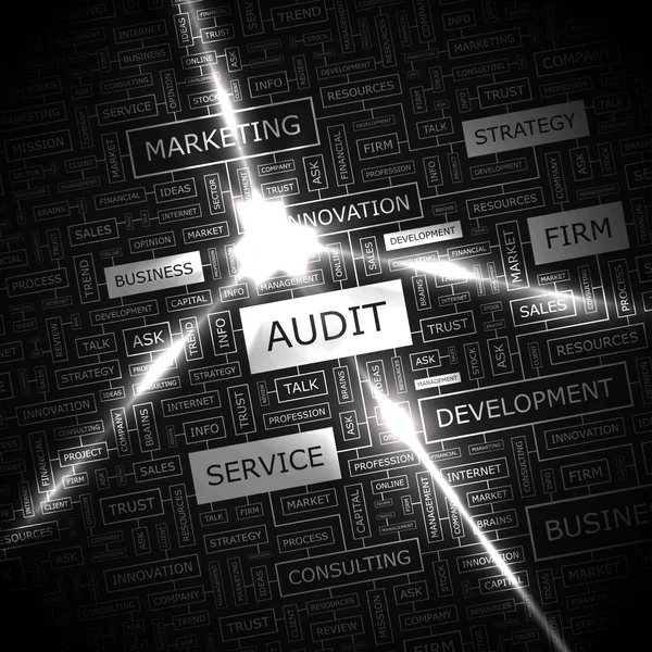 Audit. — Stockvector