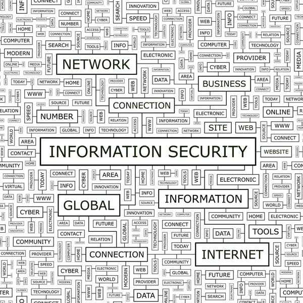 Segurança da informação . —  Vetores de Stock