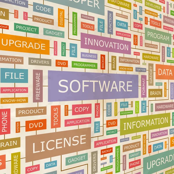 Il software. — Vettoriale Stock