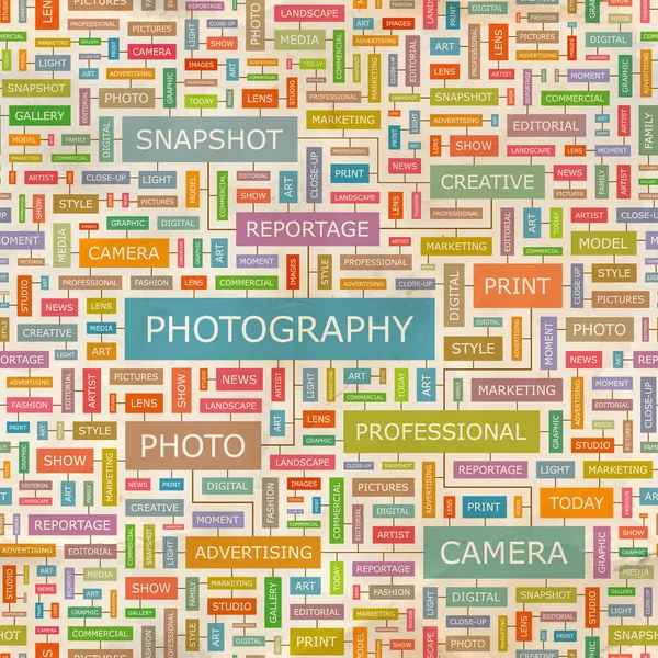 Fotografía. — Vector de stock