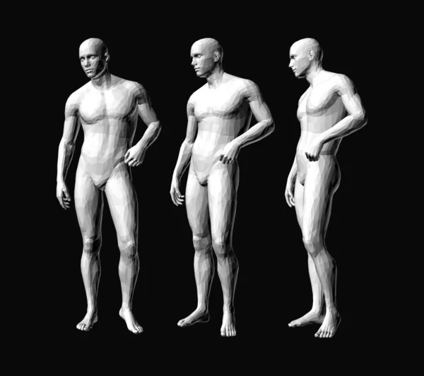 Modelos Personas Poligonales Diferentes Posturas Modelo Cuerpo Humano Vector Para — Vector de stock