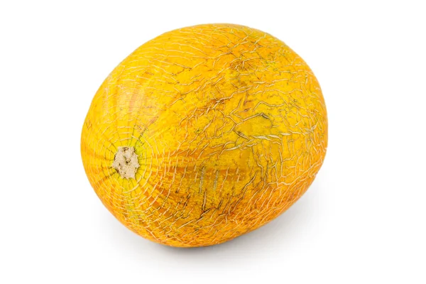 Melon — Zdjęcie stockowe