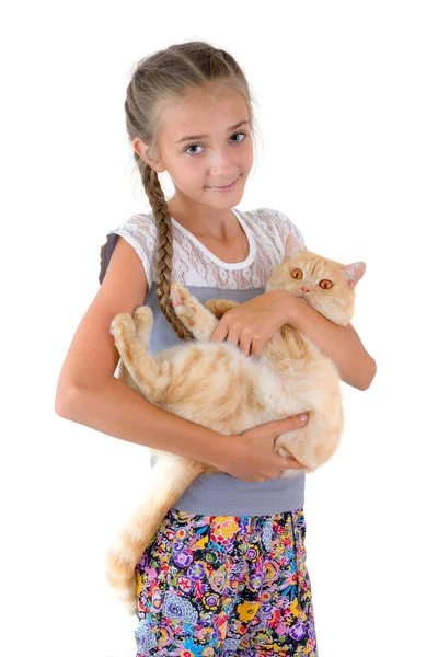 La chica con un gato rojo — Foto de Stock