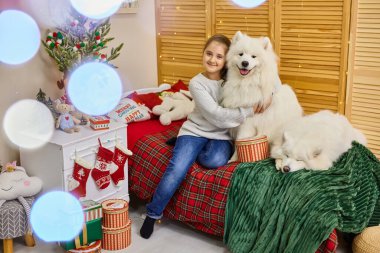 Gülümseyen sevimli küçük kız ve koca beyaz tüylü Samoyed köpekleri Noel 'de çocukların odasındaydı.