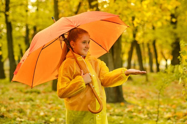 Happy Child Girl Umbrella Rubber Boots Autumn Walk — Stock Photo, Image