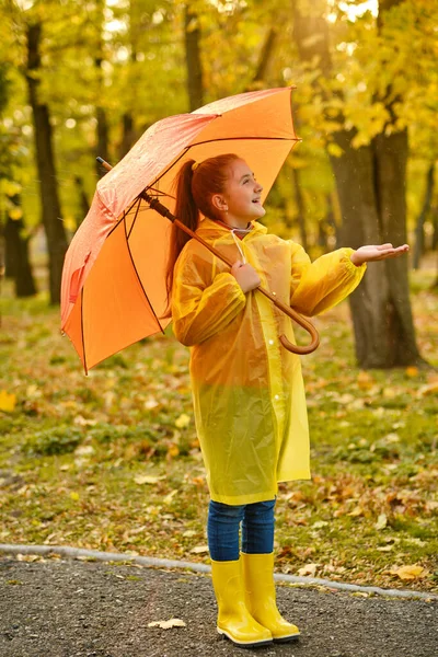 Happy Child Girl Umbrella Rubber Boots Autumn Walk — Stock Photo, Image