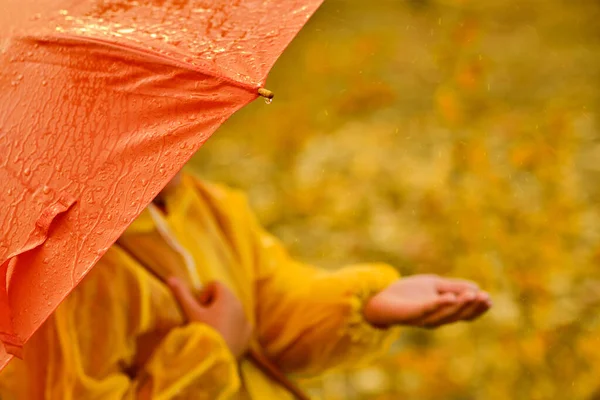 Children Hand Rain Drops Falling Orange Umbrella Autumn Weather Concept — Stock Photo, Image