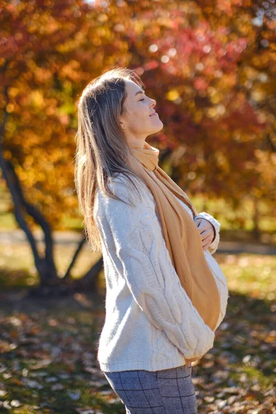 Attraente Giovane Donna Incinta Che Tiene Pancia Nel Parco Autunnale — Foto Stock