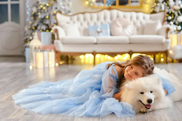 Nettes Mädchen Hellblauen Kleid Mit Weißem Samoja Hund Studio Der — Stockfoto