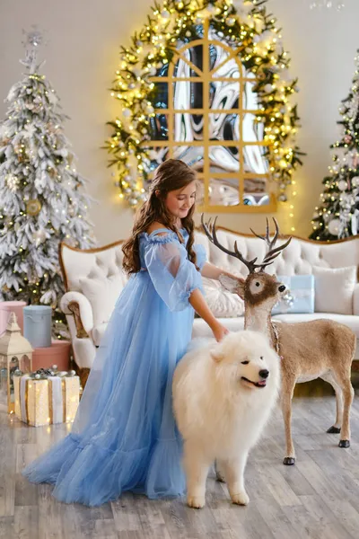 Nettes Mädchen Hellblauem Kleid Mit Weißem Samoja Hund Und Großem — Stockfoto